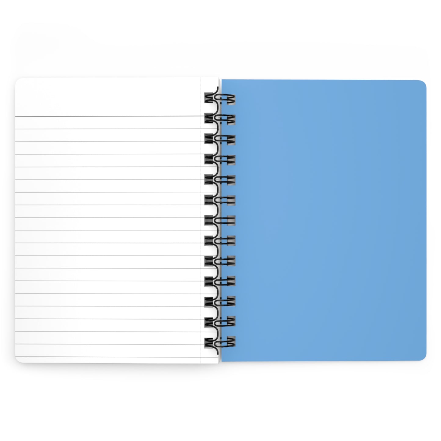 Are you Kidding me Spiral Bound Journal