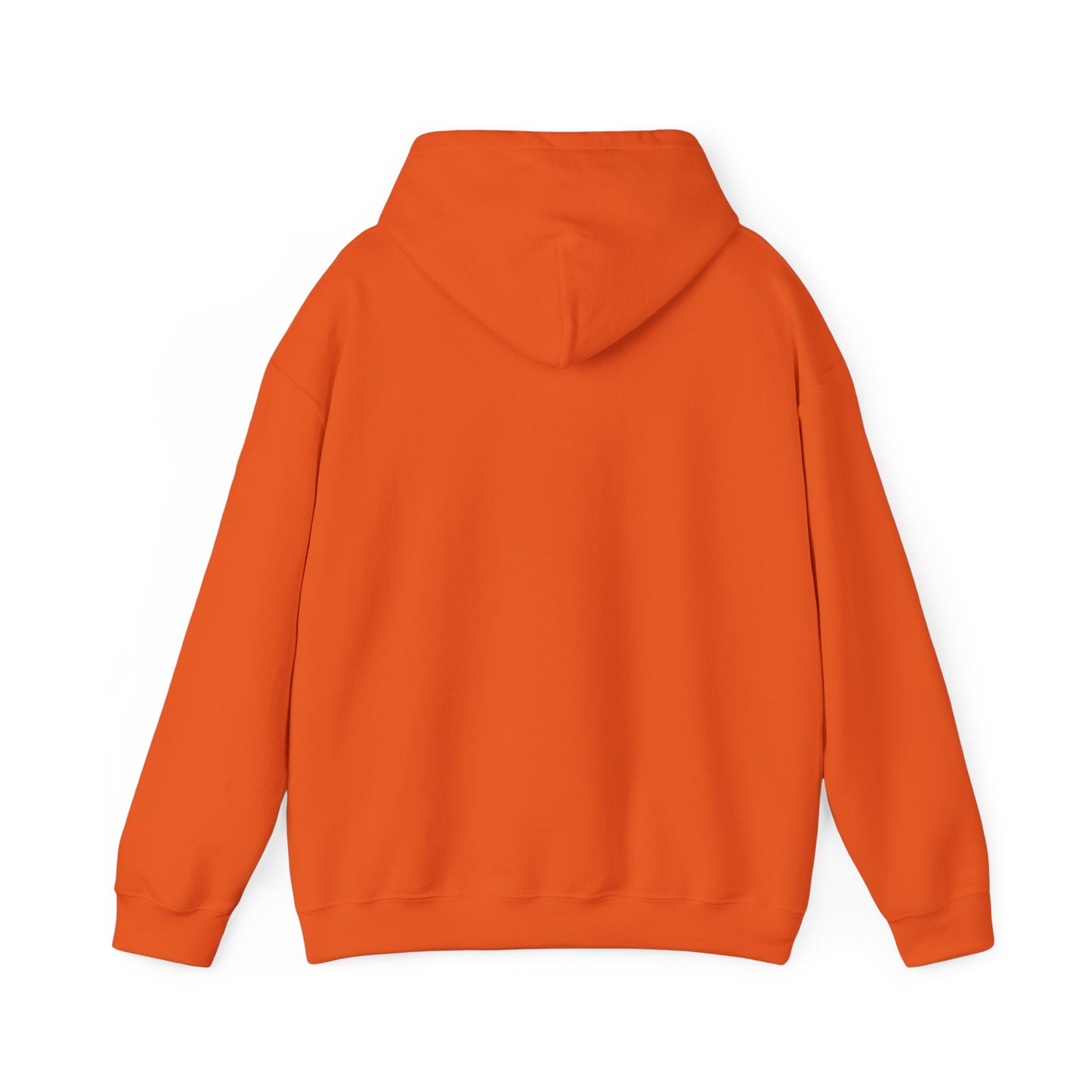 We Tried to Tell You Unisex Heavy Blend™ Hooded Sweatshirt