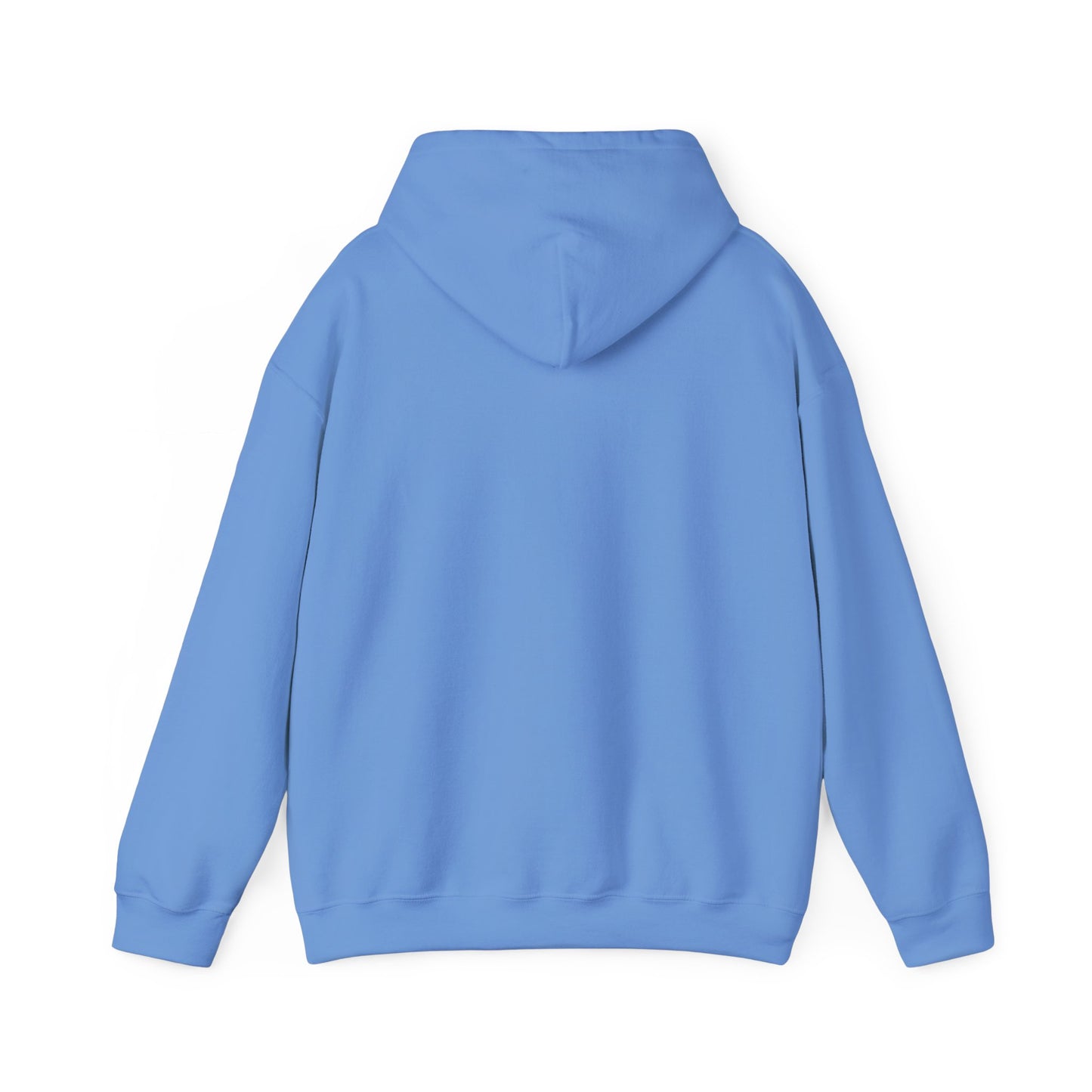 We Tried to Tell You Unisex Heavy Blend™ Hooded Sweatshirt