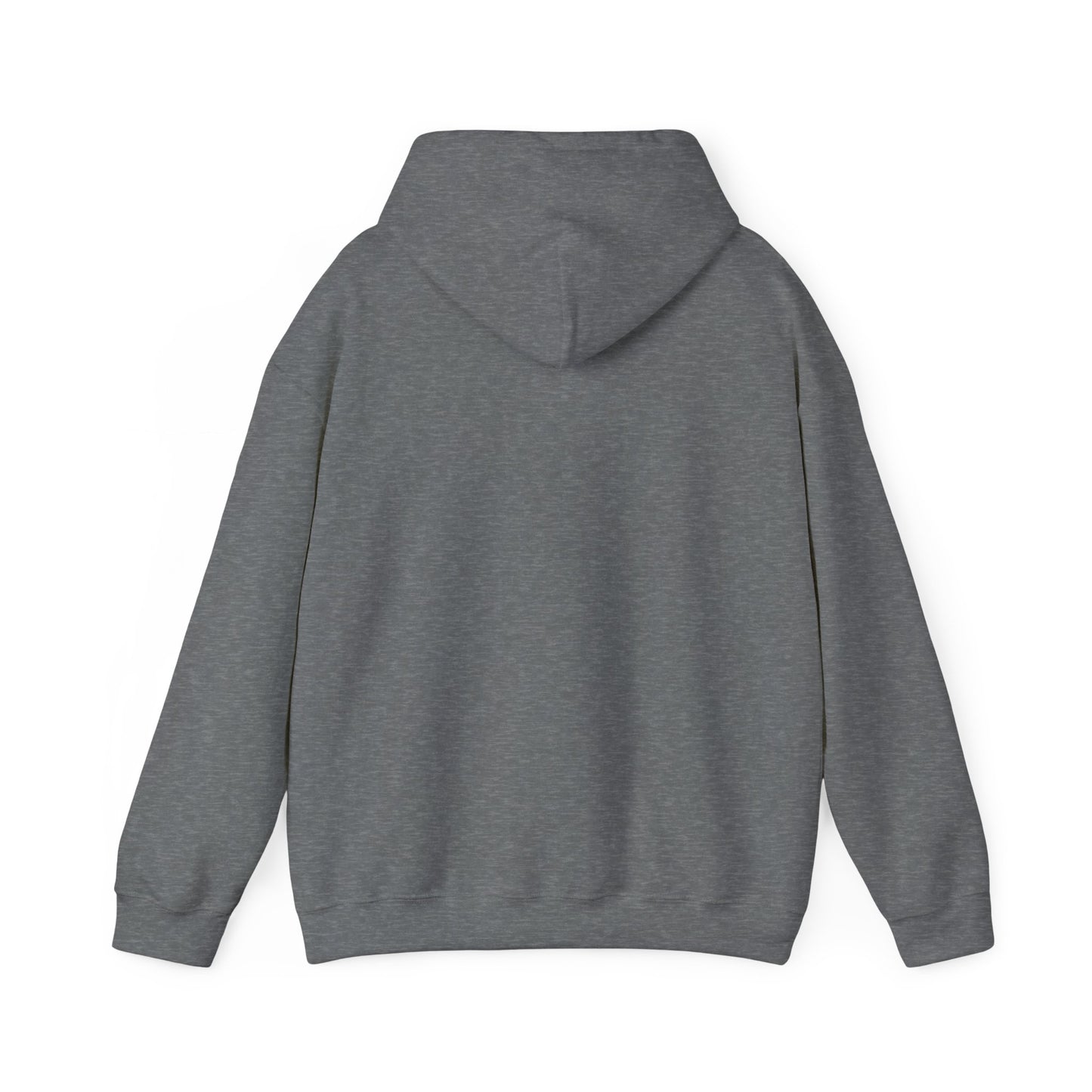 We Tried to Tell You Unisex Heavy Blend™ Hooded Sweatshirt