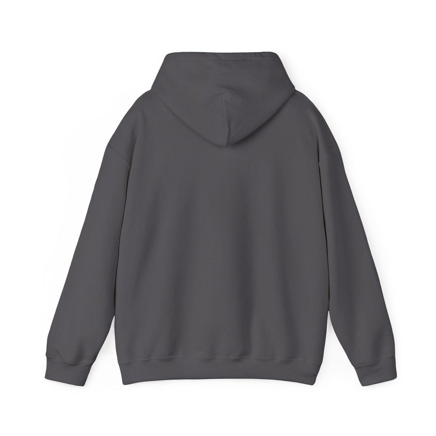 We Tried to Tell You Unisex Heavy Blend™ Hooded Sweatshirt