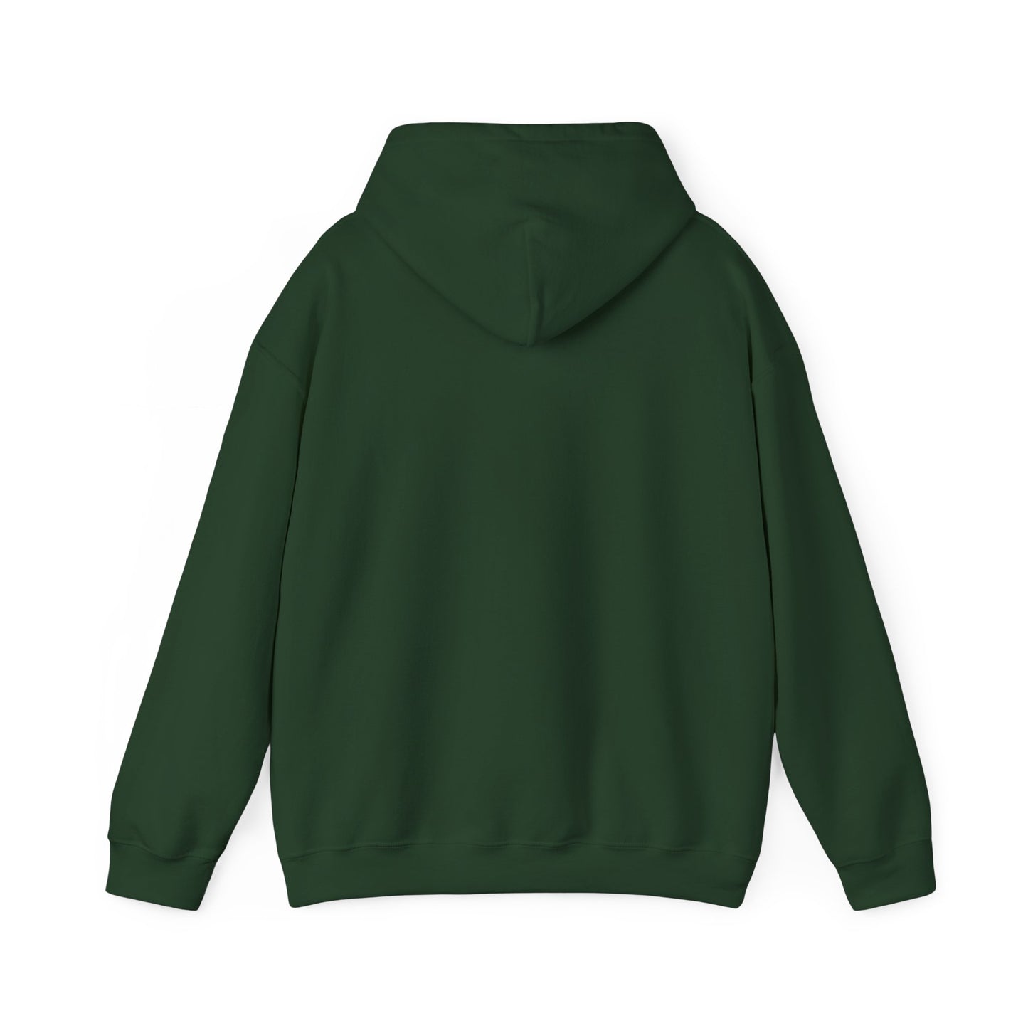 We Tried to Tell You Unisex Heavy Blend™ Hooded Sweatshirt